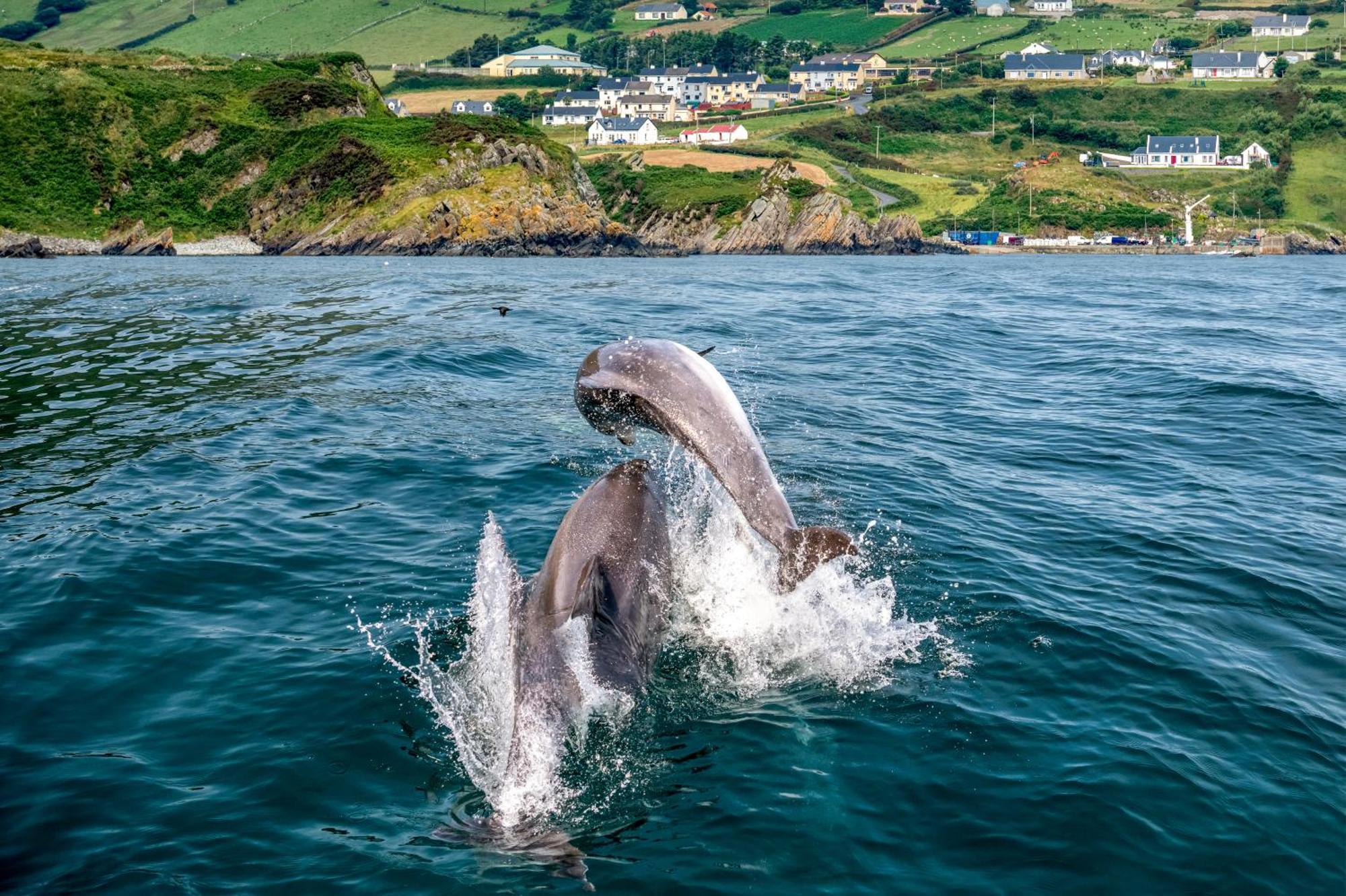 Holiday home Realt Na Mara Killybegs